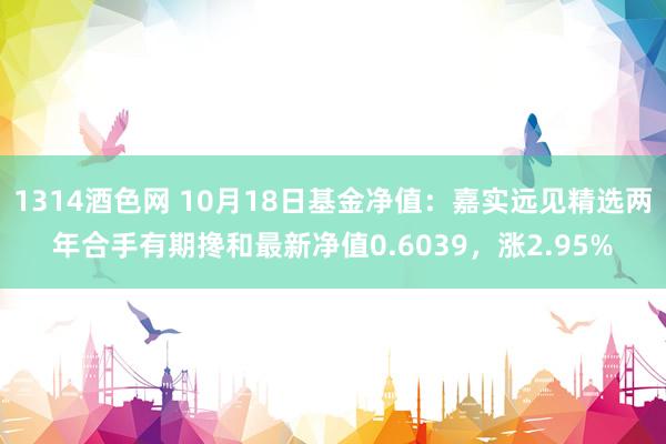 1314酒色网 10月18日基金净值：嘉实远见精选两年合手有期搀和最新净值0.6039，涨2.95%