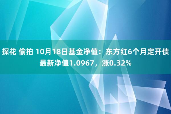 探花 偷拍 10月18日基金净值：东方红6个月定开债最新净值1.0967，涨0.32%