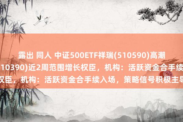 露出 同人 中证500ETF祥瑞(510590)高潮1%，沪深300ETF祥瑞(510390)近2周范围增长权臣，机构：活跃资金合手续入场，策略信号积极主导行情