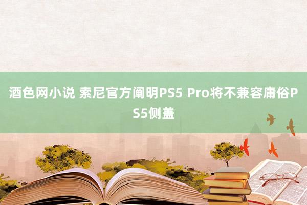 酒色网小说 索尼官方阐明PS5 Pro将不兼容庸俗PS5侧盖