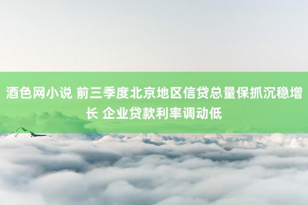 酒色网小说 前三季度北京地区信贷总量保抓沉稳增长 企业贷款利率调动低