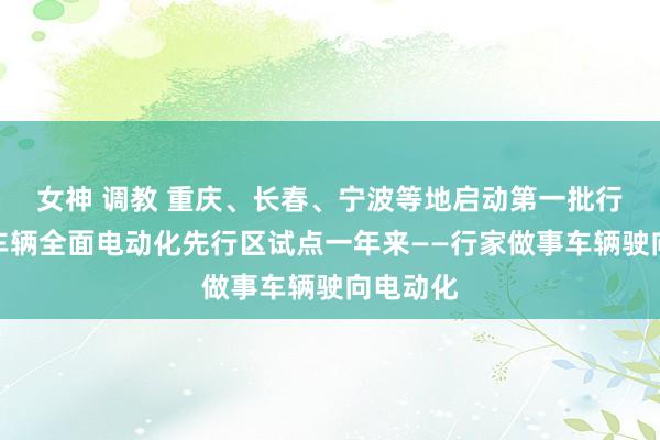 女神 调教 重庆、长春、宁波等地启动第一批行家范畴车辆全面电动化先行区试点一年来——行家做事车辆驶向电动化