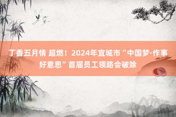 丁香五月情 超燃！2024年宜城市“中国梦·作事好意思”首届员工领路会破除