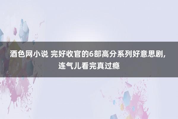 酒色网小说 完好收官的6部高分系列好意思剧， 连气儿看完真过瘾