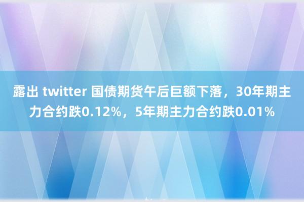 露出 twitter 国债期货午后巨额下落，30年期主力合约跌0.12%，5年期主力合约跌0.01%