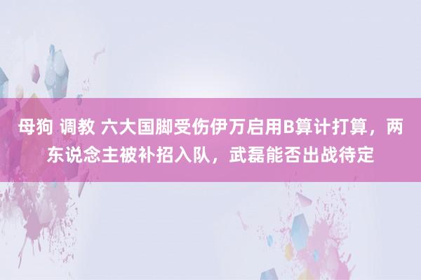 母狗 调教 六大国脚受伤伊万启用B算计打算，两东说念主被补招入队，武磊能否出战待定