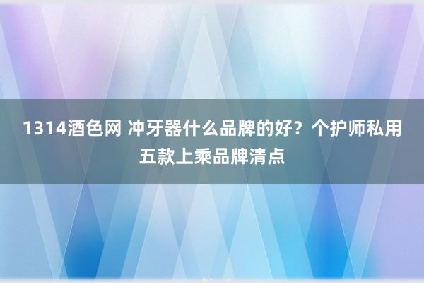 1314酒色网 冲牙器什么品牌的好？个护师私用五款上乘品牌清点