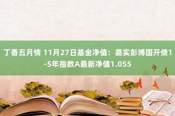 丁香五月情 11月27日基金净值：嘉实彭博国开债1-5年指数A最新净值1.055