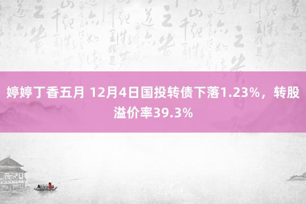 婷婷丁香五月 12月4日国投转债下落1.23%，转股溢价率39.3%