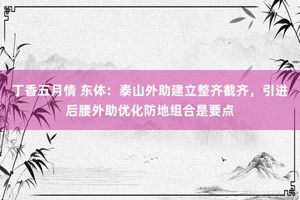 丁香五月情 东体：泰山外助建立整齐截齐，引进后腰外助优化防地组合是要点