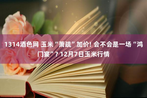 1314酒色网 玉米“萧疏”加价! 会不会是一场“鸿门宴”? 12月7日玉米行情