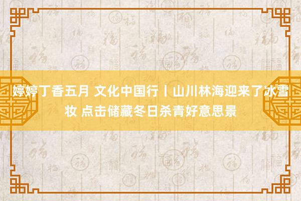 婷婷丁香五月 文化中国行丨山川林海迎来了冰雪妆 点击储藏冬日杀青好意思景