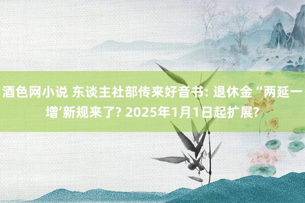 酒色网小说 东谈主社部传来好音书: 退休金“两延一增’新规来了? 2025年1月1日起扩展?