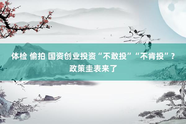 体检 偷拍 国资创业投资“不敢投”“不肯投”？政策圭表来了