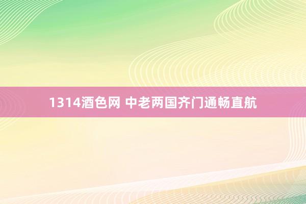 1314酒色网 中老两国齐门通畅直航