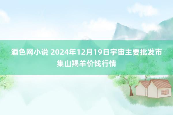 酒色网小说 2024年12月19日宇宙主要批发市集山羯羊价钱行情