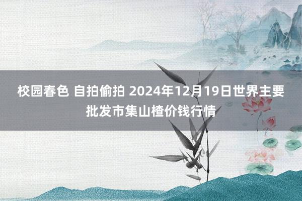 校园春色 自拍偷拍 2024年12月19日世界主要批发市集山楂价钱行情