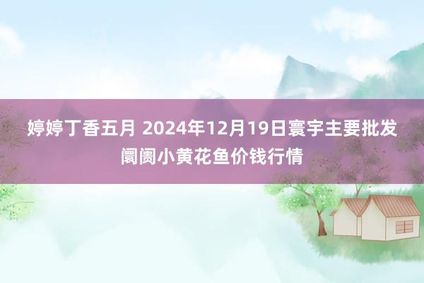 婷婷丁香五月 2024年12月19日寰宇主要批发阛阓小黄花鱼价钱行情