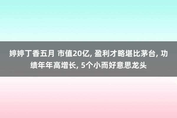 婷婷丁香五月 市值20亿， 盈利才略堪比茅台， 功绩年年高增长， 5个小而好意思龙头