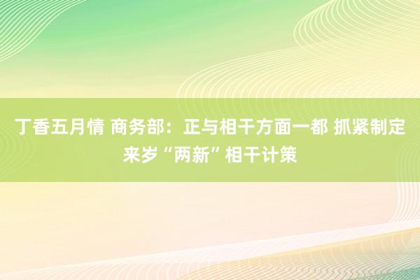 丁香五月情 商务部：正与相干方面一都 抓紧制定来岁“两新”相干计策