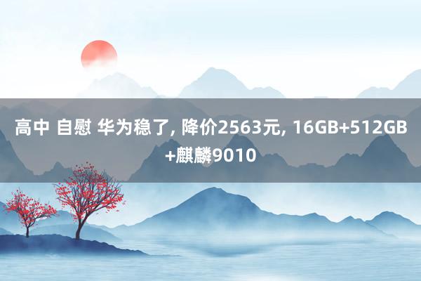 高中 自慰 华为稳了， 降价2563元， 16GB+512GB+麒麟9010