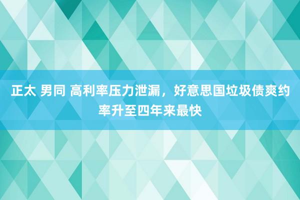 正太 男同 高利率压力泄漏，好意思国垃圾债爽约率升至四年来最快