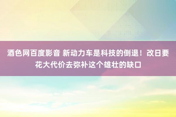 酒色网百度影音 新动力车是科技的倒退！改日要花大代价去弥补这个雄壮的缺口