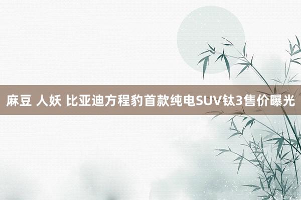 麻豆 人妖 比亚迪方程豹首款纯电SUV钛3售价曝光