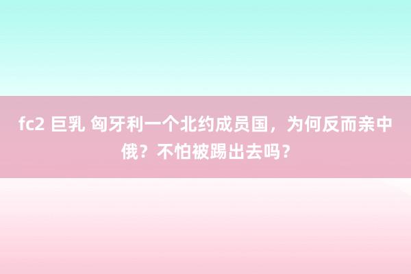 fc2 巨乳 匈牙利一个北约成员国，为何反而亲中俄？不怕被踢出去吗？