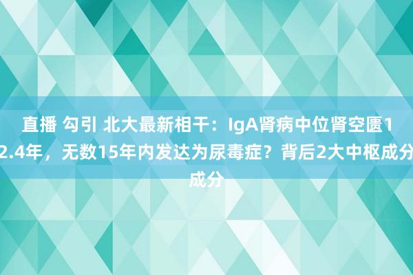 直播 勾引 北大最新相干：IgA肾病中位肾空匮12.4年，无数15年内发达为尿毒症？背后2大中枢成分