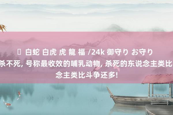 ✨白蛇 白虎 虎 龍 福 /24k 御守り お守り 原枪弹齐杀不死， 号称最收效的哺乳动物， 杀死的东说念主类比斗争还多!