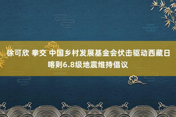 徐可欣 拳交 中国乡村发展基金会伏击驱动西藏日喀则6.8级地震维持倡议