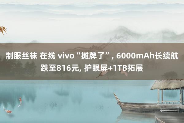 制服丝袜 在线 vivo“摊牌了”， 6000mAh长续航跌至816元， 护眼屏+1TB拓展