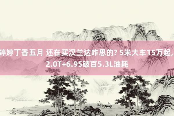 婷婷丁香五月 还在买汉兰达咋思的? 5米大车15万起， 2.0T+6.9S破百5.3L油耗